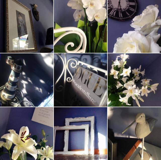 Hotel Solitude Riccione Ngoại thất bức ảnh